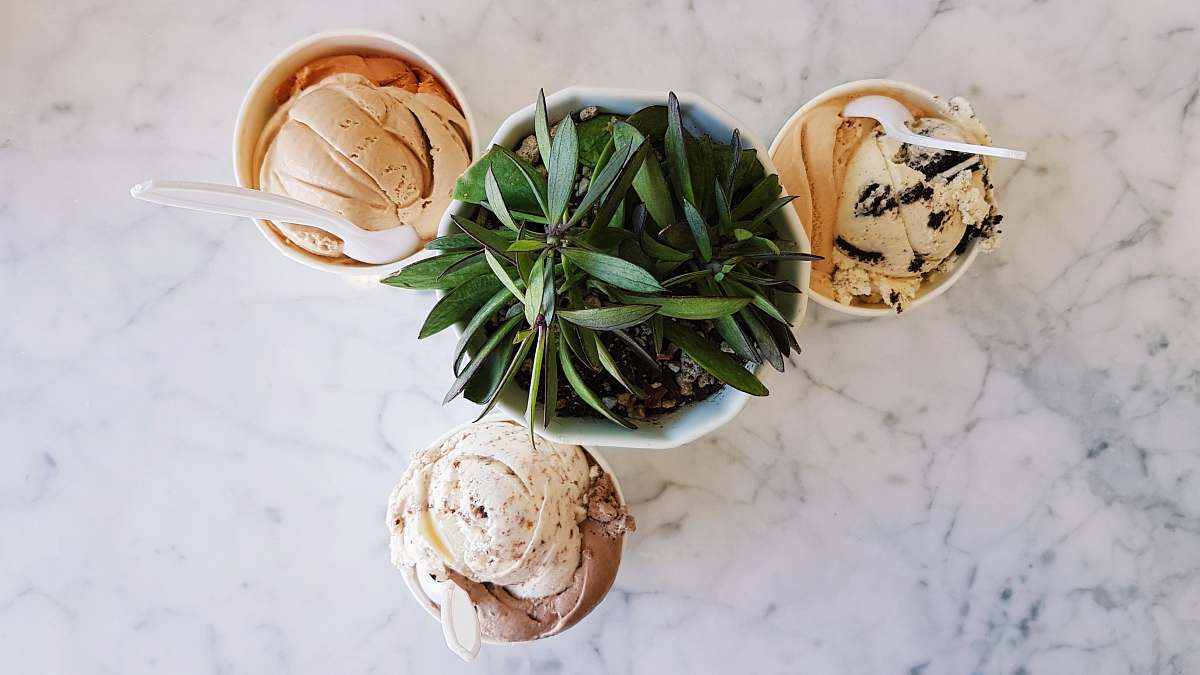 cookiebar creamery flat lay photography of ice cream cups beside potted plant oakland